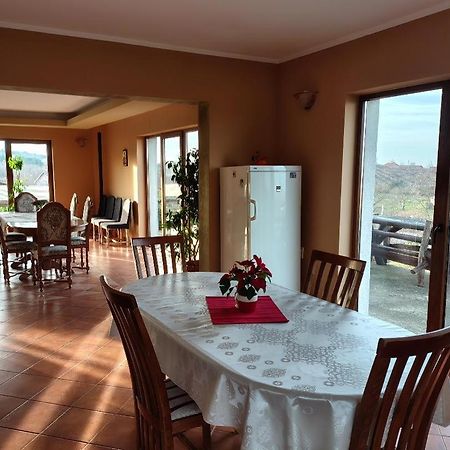 Vis Pension Viile Satu Mare Εξωτερικό φωτογραφία