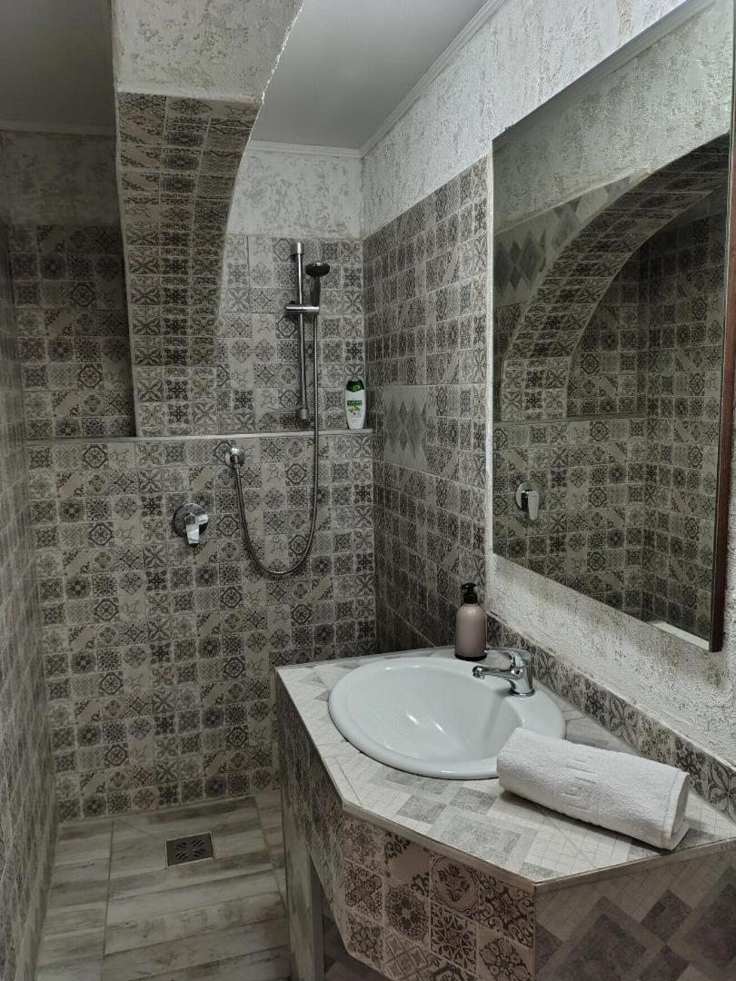 Vis Pension Viile Satu Mare Εξωτερικό φωτογραφία