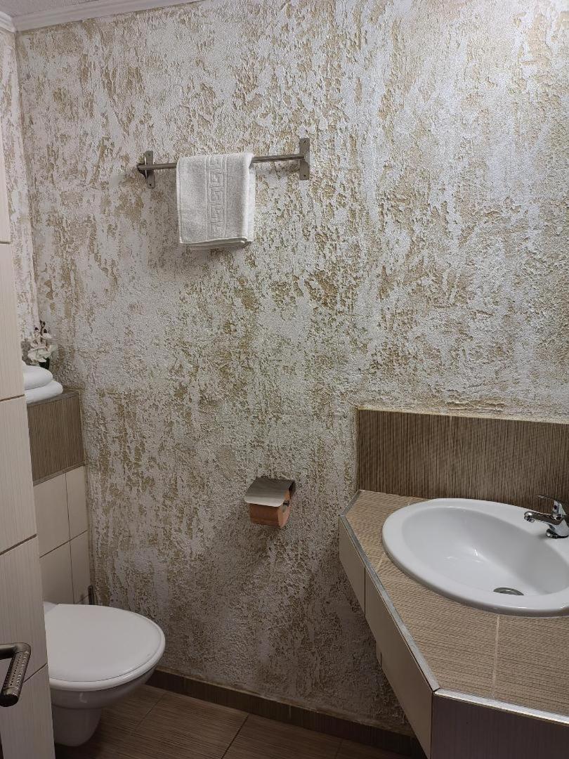 Vis Pension Viile Satu Mare Εξωτερικό φωτογραφία