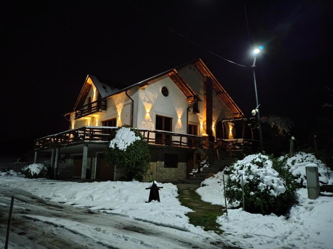 Vis Pension Viile Satu Mare Εξωτερικό φωτογραφία