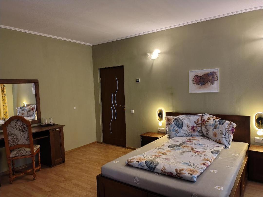 Vis Pension Viile Satu Mare Εξωτερικό φωτογραφία