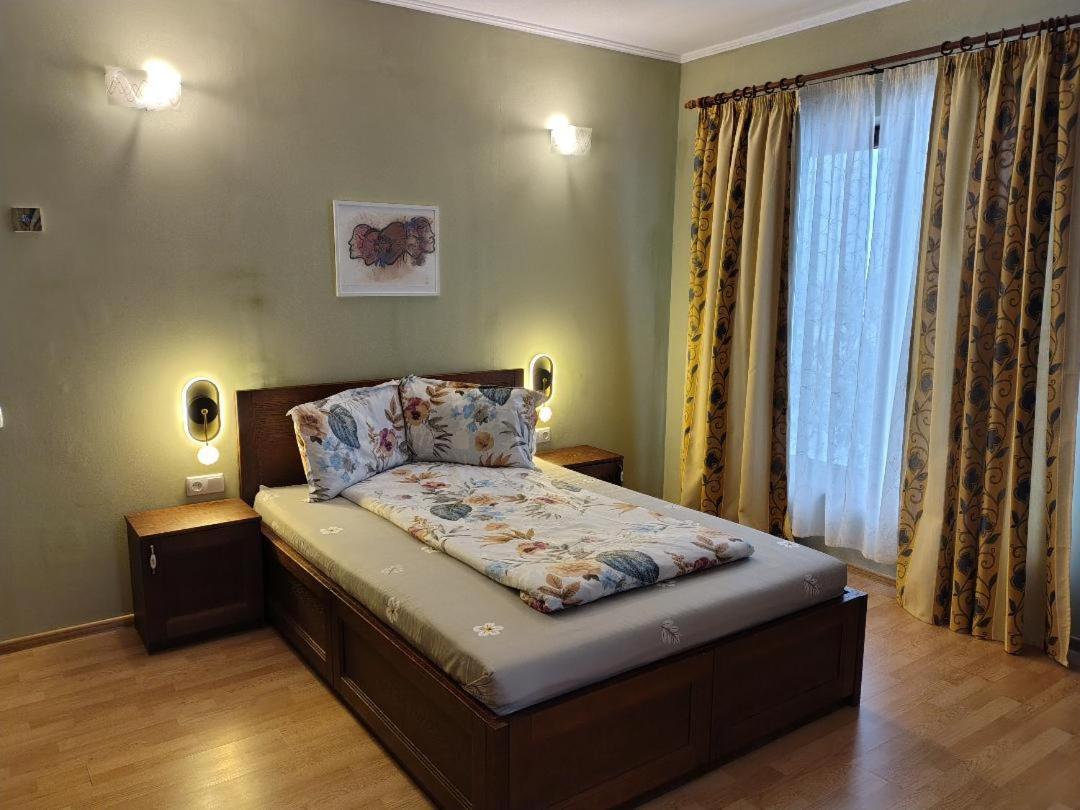 Vis Pension Viile Satu Mare Εξωτερικό φωτογραφία