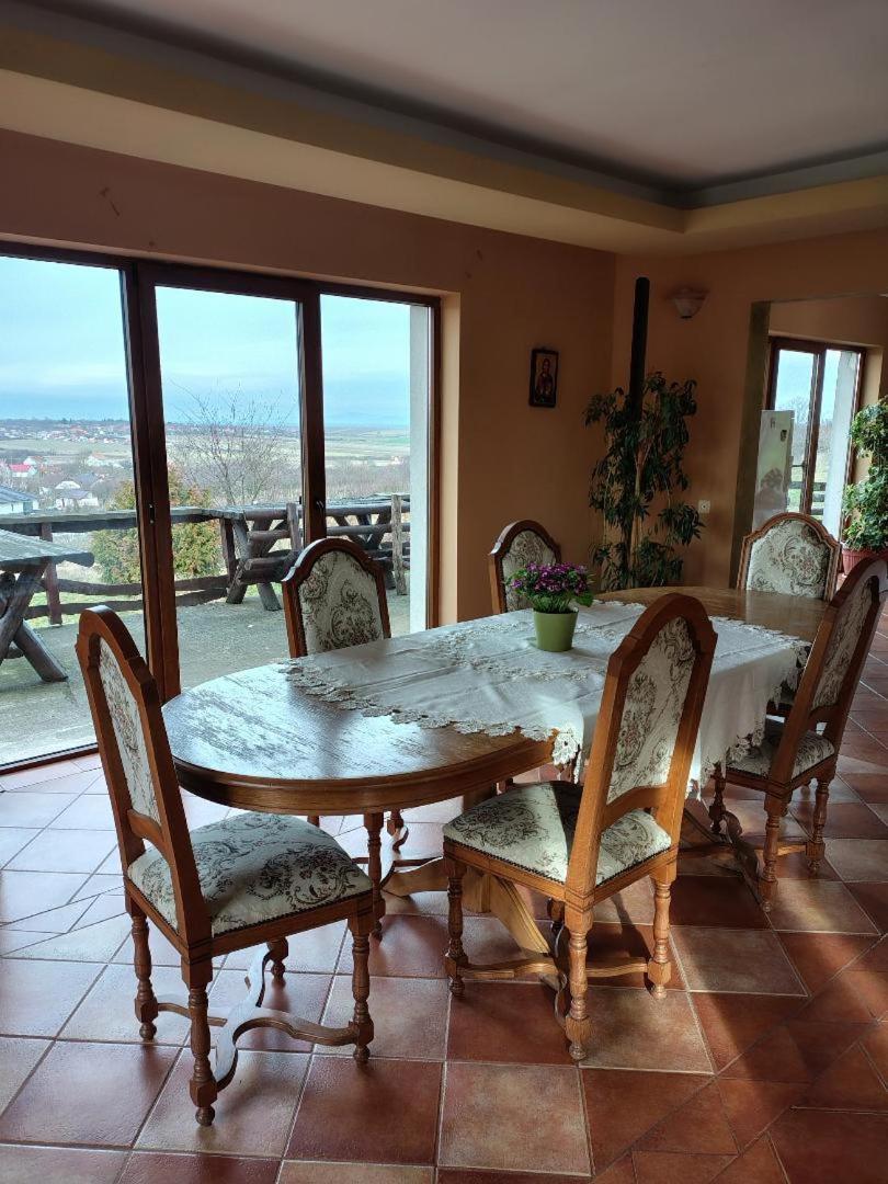 Vis Pension Viile Satu Mare Εξωτερικό φωτογραφία
